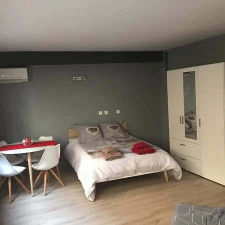Homestay Grande Climatisee 1 A 4 Couchages Wasselonne