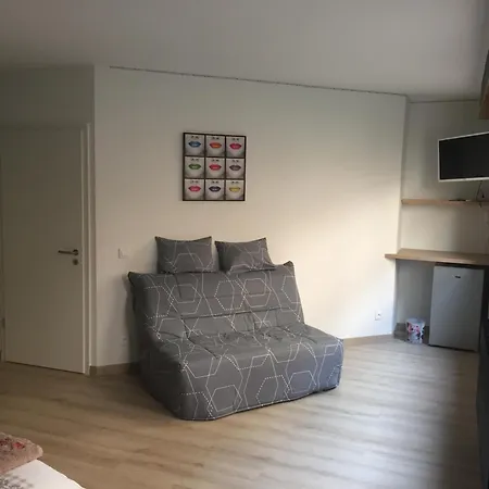 Homestay Grande Climatisee 1 A 4 Couchages Wasselonne